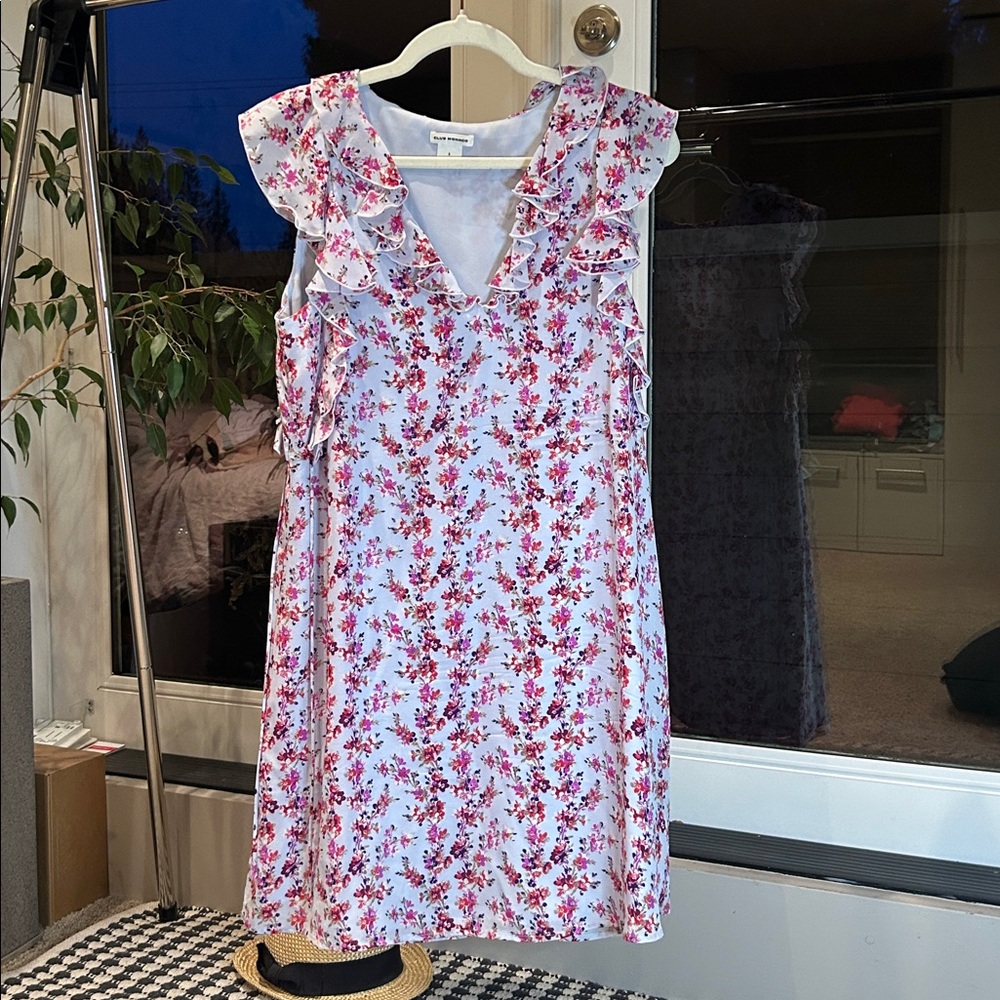 Club Monaco Floral Lined Dress